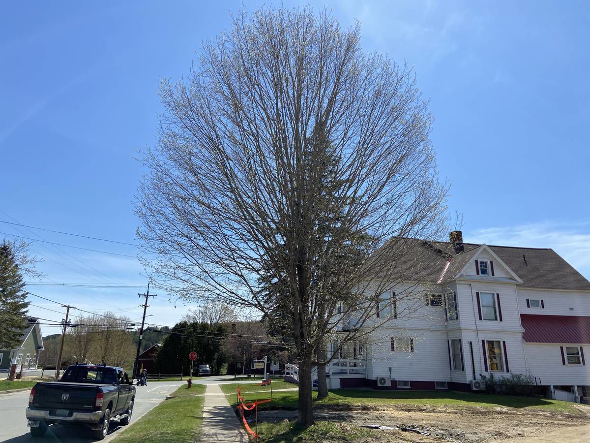 Lyndon Town Clerk’s Office Resumes Partial Hours; , By Appointment